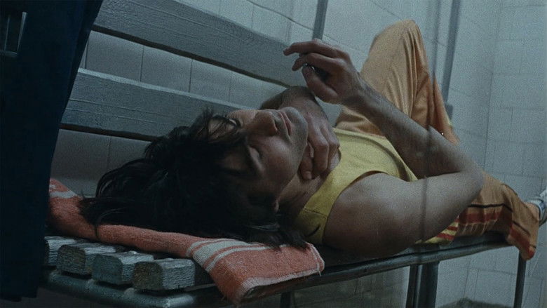 кадр из фильма Aur cât un nasture pe piept