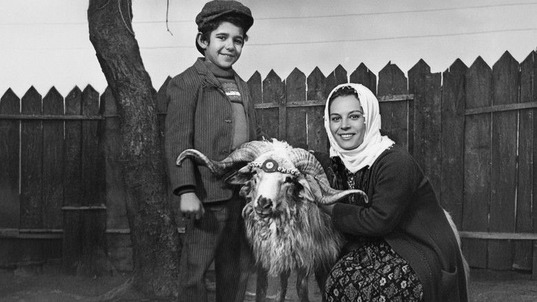 кадр из фильма Gelin