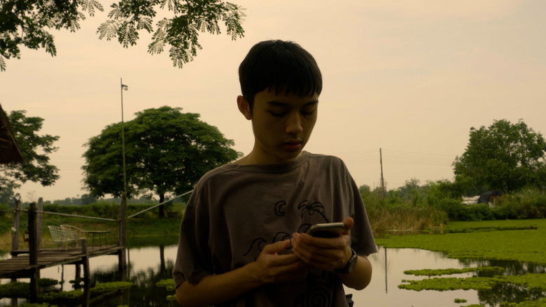 кадр из фильма REELs