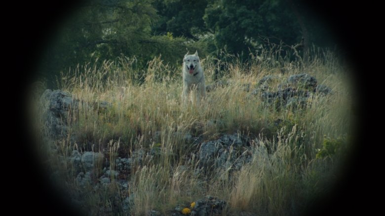 кадр из фильма Nebelkind: Konec ticha