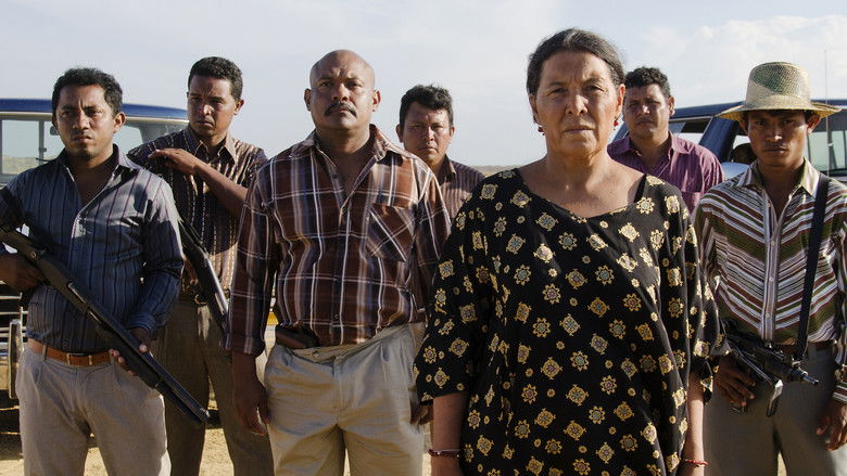 кадр из фильма Перелётные птицы