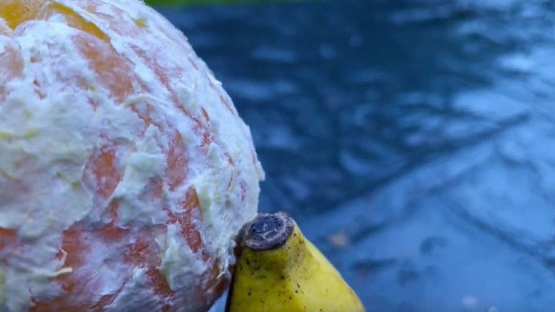 кадр из фильма Fruitful