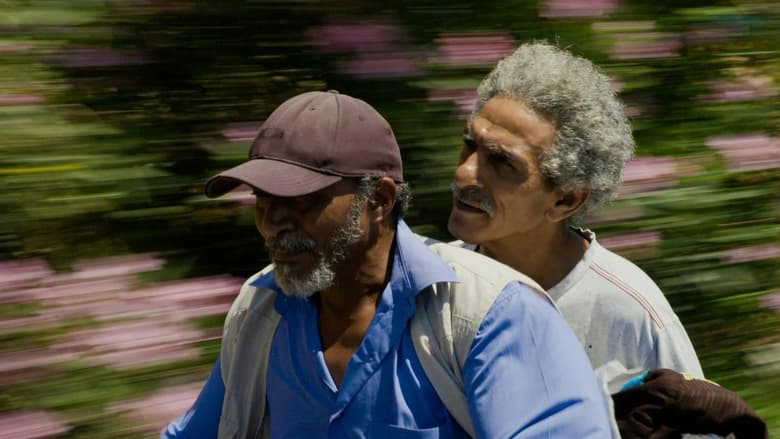 кадр из фильма The Jacket