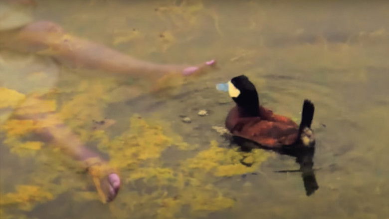 ГЛАВА НА ЛИНИЯТА