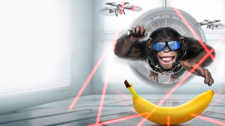 кадр из фильма Шимпанзе под прикрытием