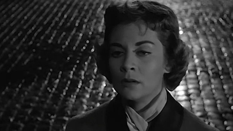 кадр из фильма Una donna libera