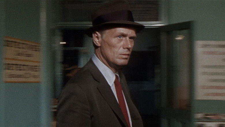 кадр из фильма Мадиган