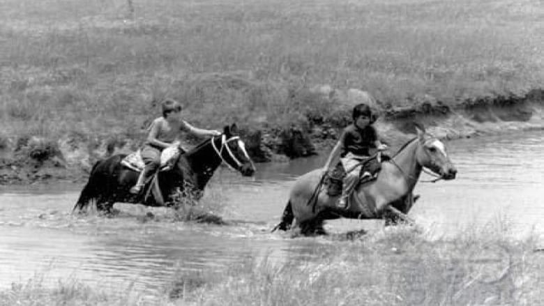 кадр из фильма El verano del potro