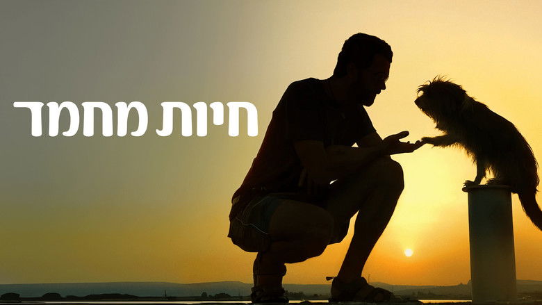 кадр из фильма Pets