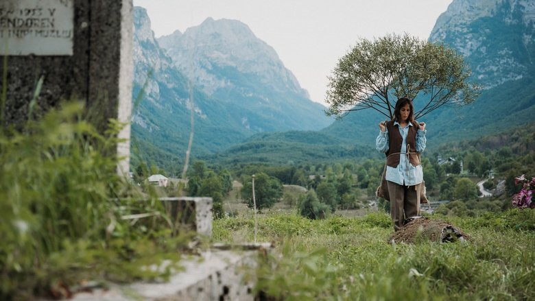 кадр из фильма Roda