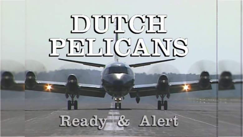 Dutch Pelicans Ready and Alert