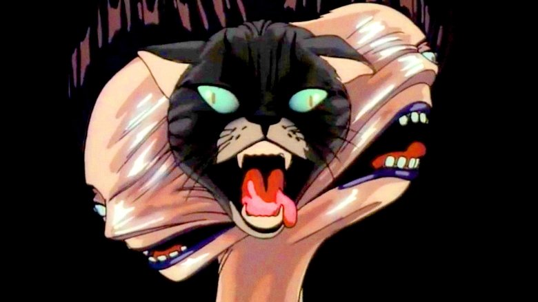 Кошка по имени Лили