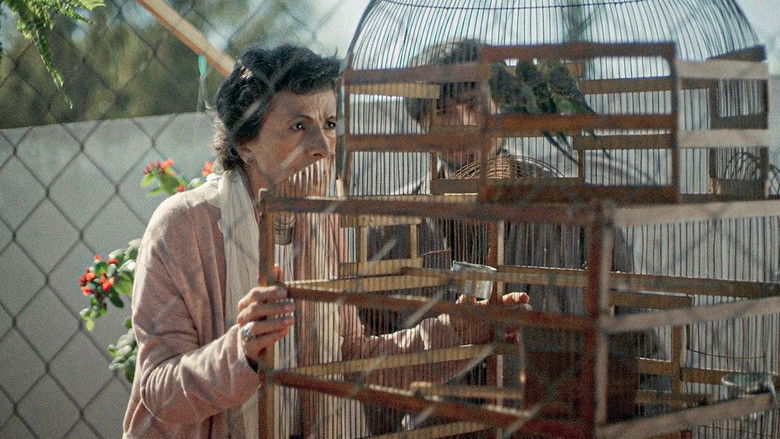 кадр из фильма A quien cierra los ojos