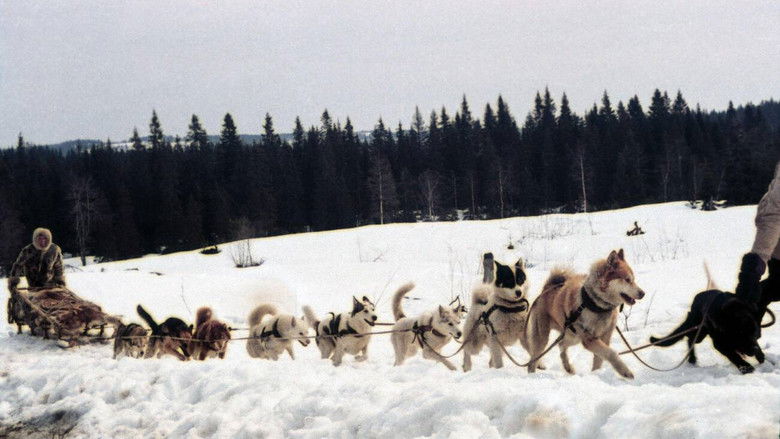 кадр из фильма Зов предков