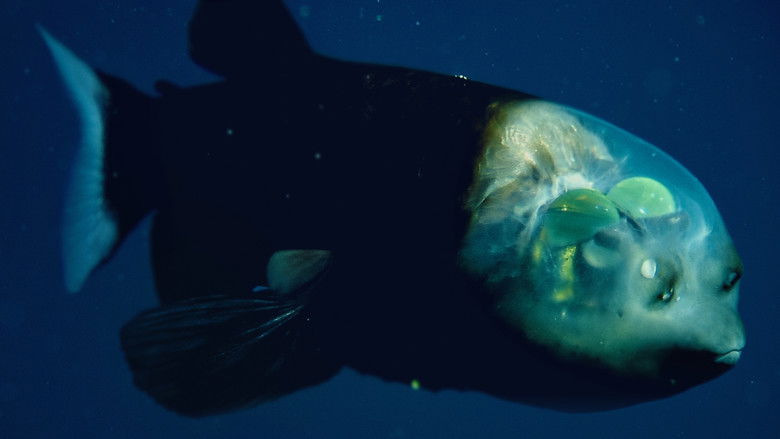 кадр из фильма World's Weirdest: Extreme Body Parts