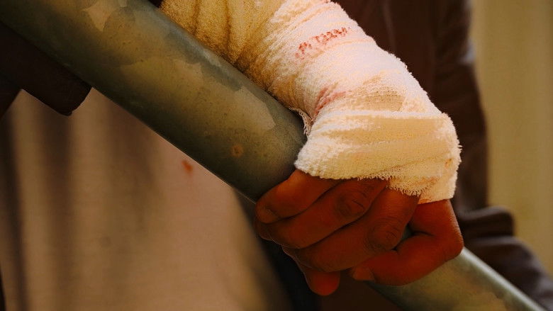 кадр из фильма Trapped In Sight