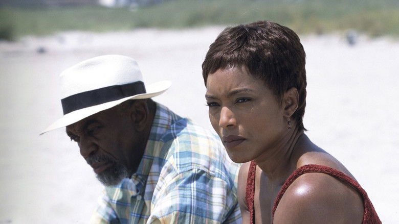 кадр из фильма Sunshine State