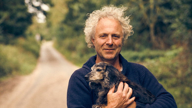 кадр из фильма Charlie Mackesy: The Boy, the Mole, the Fox, the Horse and Me