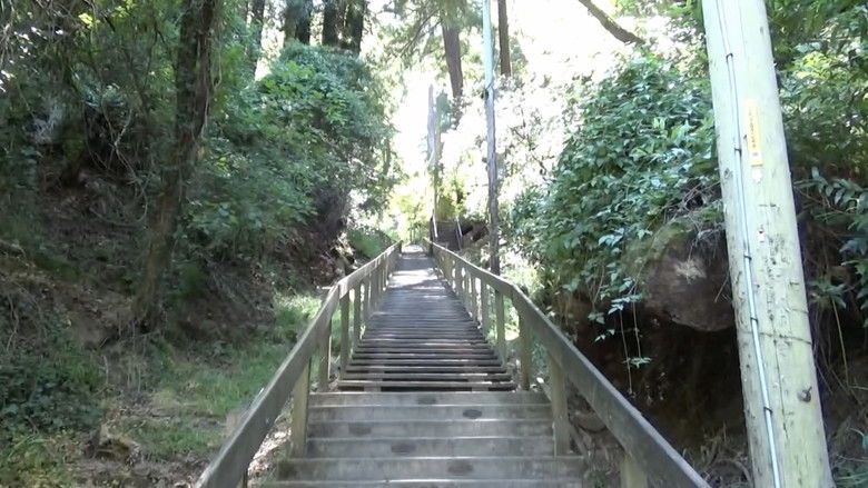 кадр из фильма Ballad of a Wannabe Writer