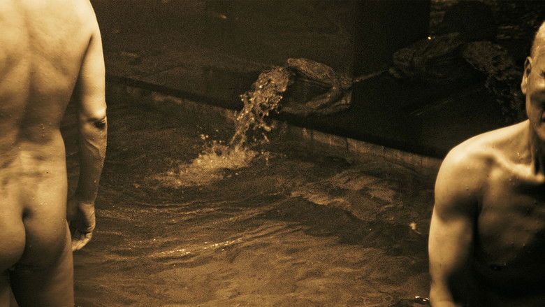 кадр из фильма 님과 함께 디스코