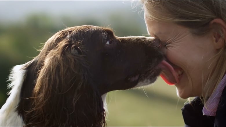 кадр из фильма The Secret Life of Dogs