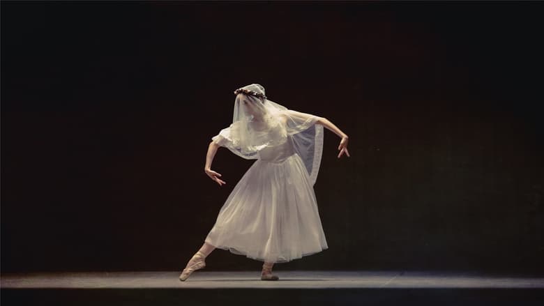 Исчезающая тень