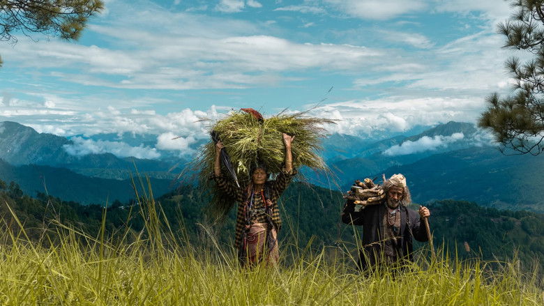 кадр из фильма Pyre