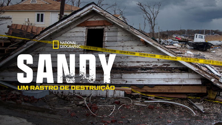 кадр из фильма Superstorm New York: What Really Happened