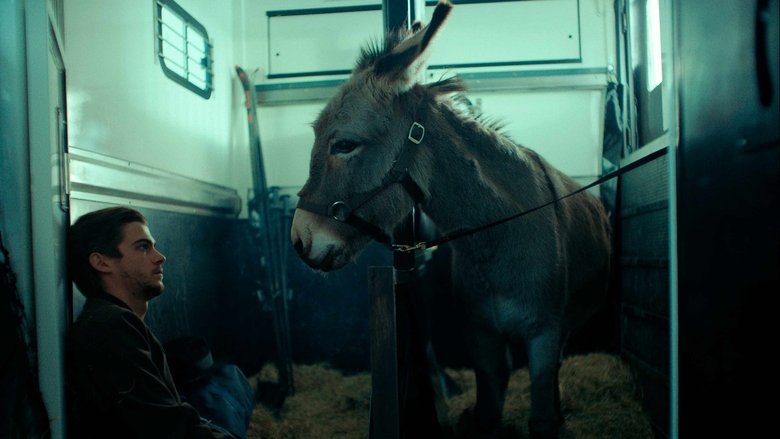 кадр из фильма Иа