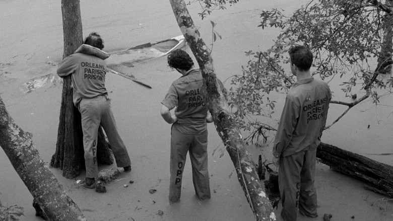 кадр из фильма Вне закона