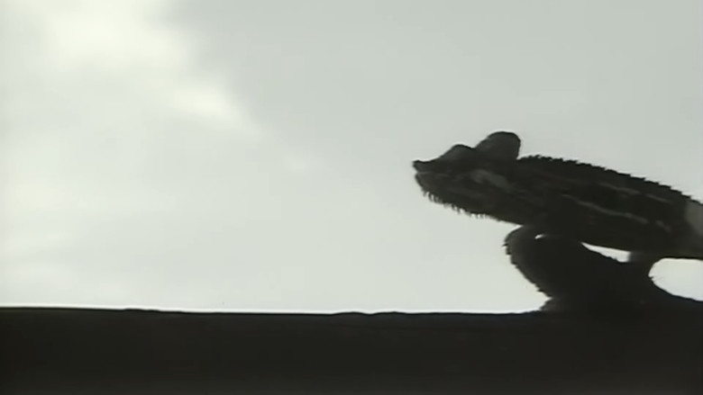 кадр из фильма アフリカ動物パズル