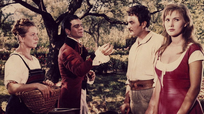 кадр из фильма Наследство казначея Стамбула