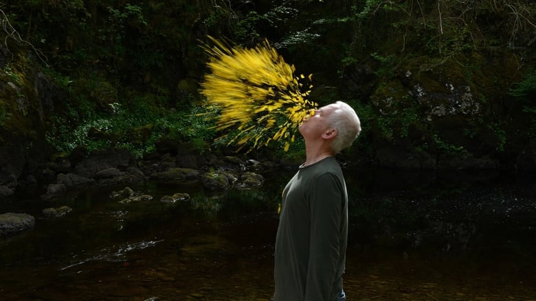 кадр из фильма Leaning Into the Wind: Andy Goldsworthy