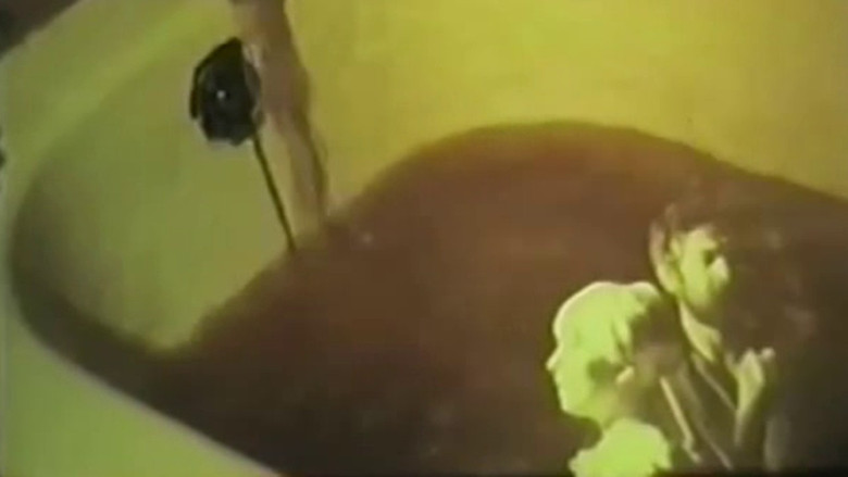 кадр из фильма Descenso del pais de la noche