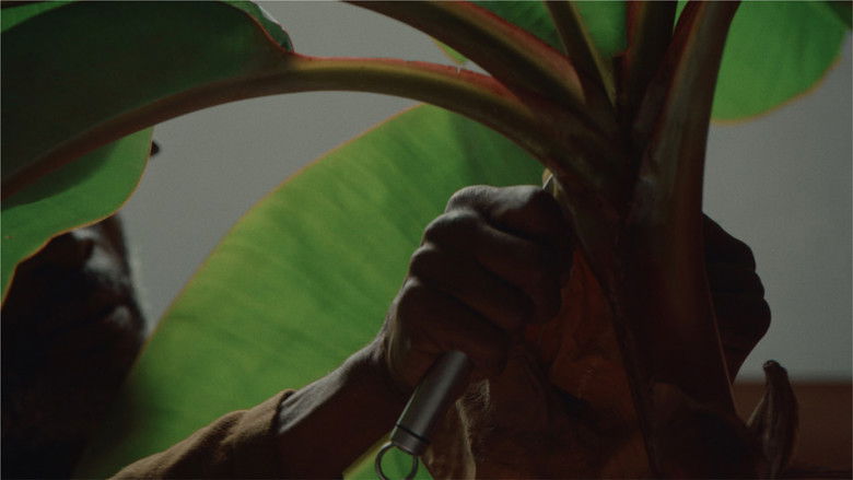 кадр из фильма Recetas Para Sobrevivir a Este Universo