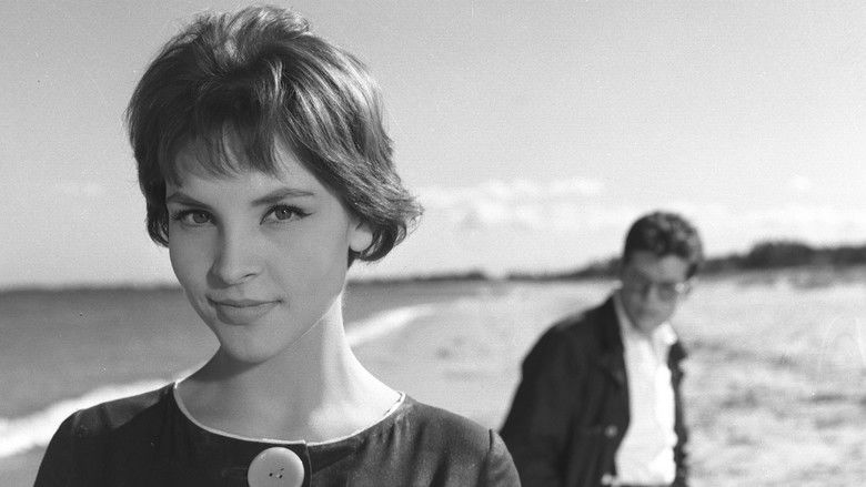 кадр из фильма До свидания, до завтра