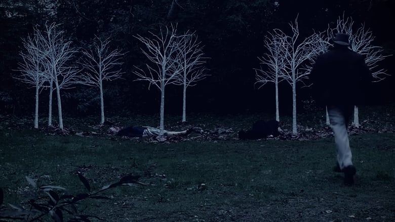 кадр из фильма Queen of Hearts: A Twin Peaks Fan Film