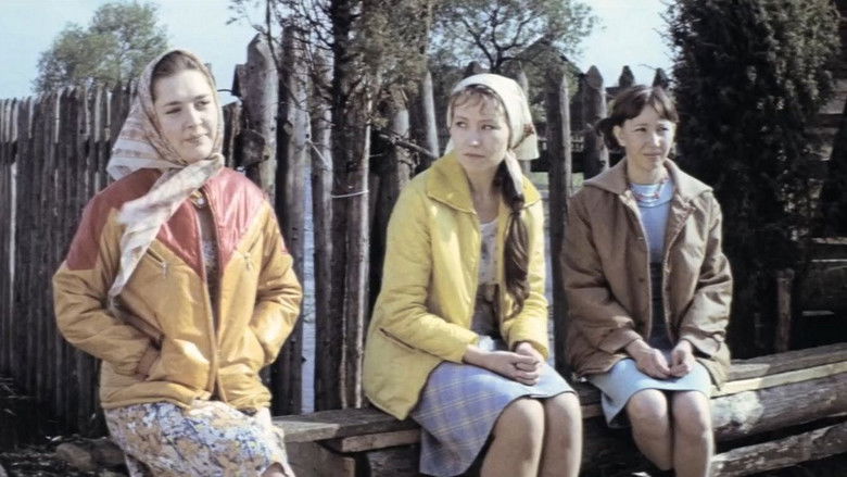 кадр из фильма Дожди по всей территории