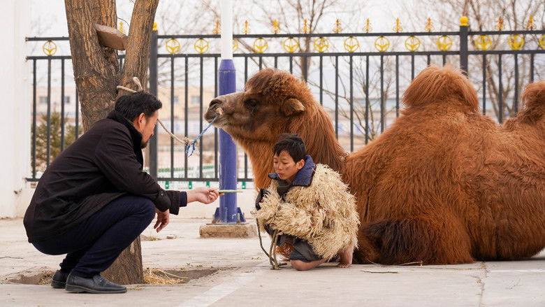 кадр из фильма 野小子