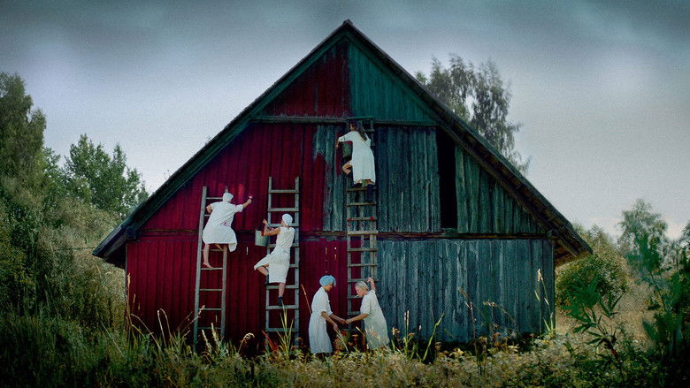 кадр из фильма Virago