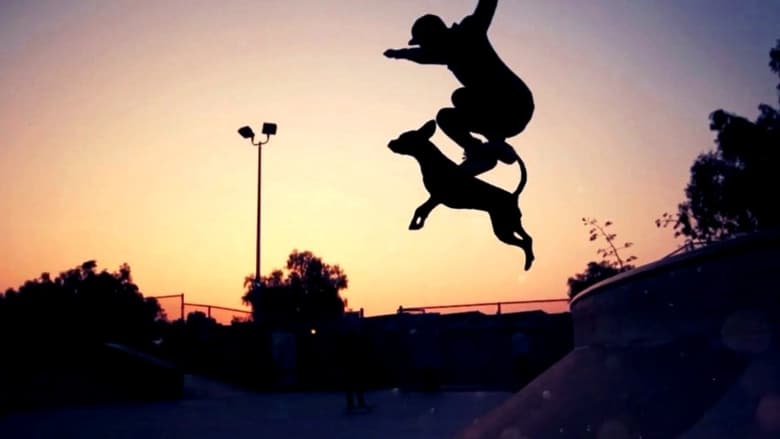 кадр из фильма Dogboarding