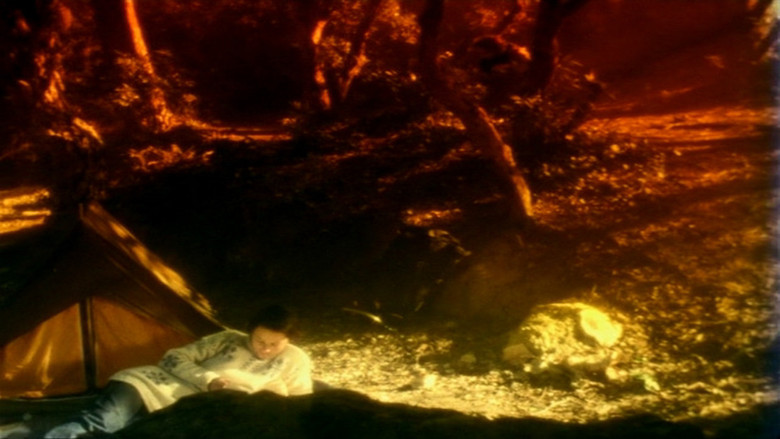 кадр из фильма O Território