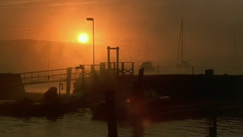 кадр из фильма Belfast, Maine