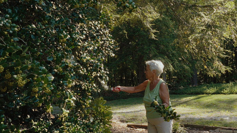 кадр из фильма In the Garden