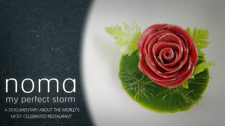 кадр из фильма Noma: My Perfect Storm