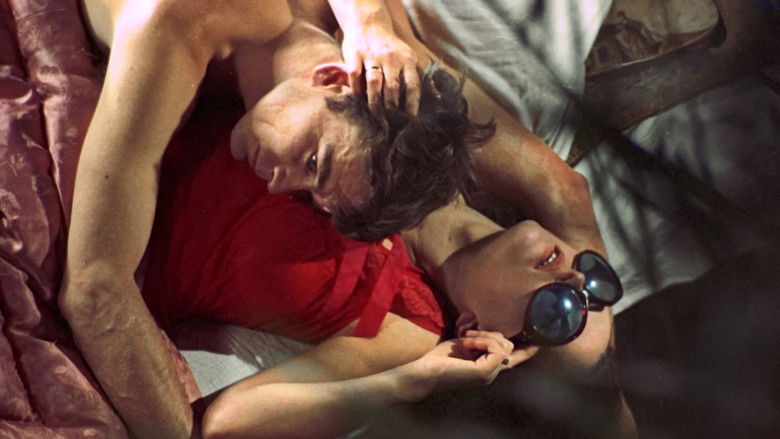 кадр из фильма Охота на мух