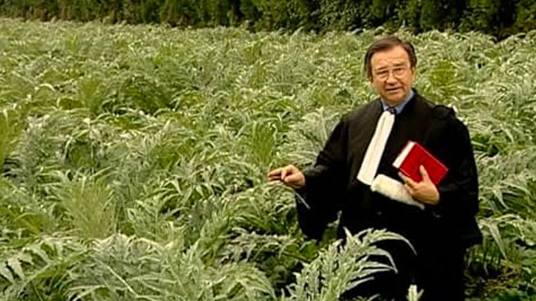 кадр из фильма Собиратели и собирательница