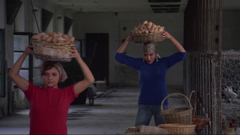 кадр из фильма Укрощение строптивого