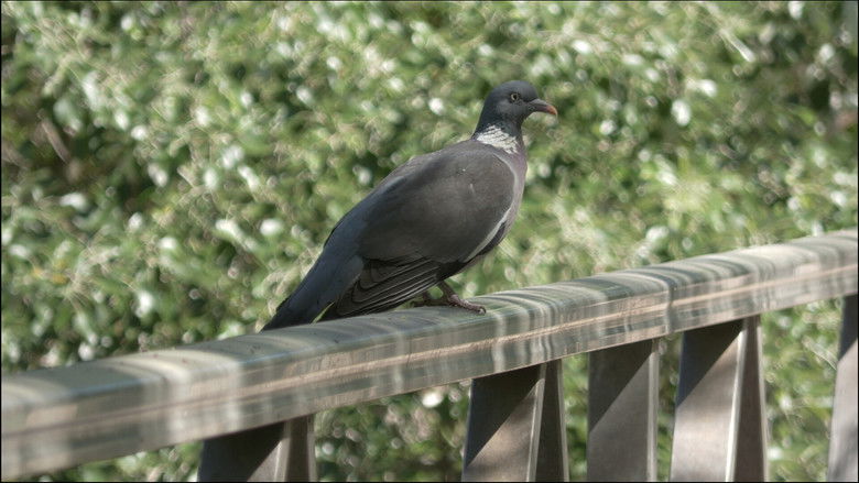 кадр из фильма VIGILIA