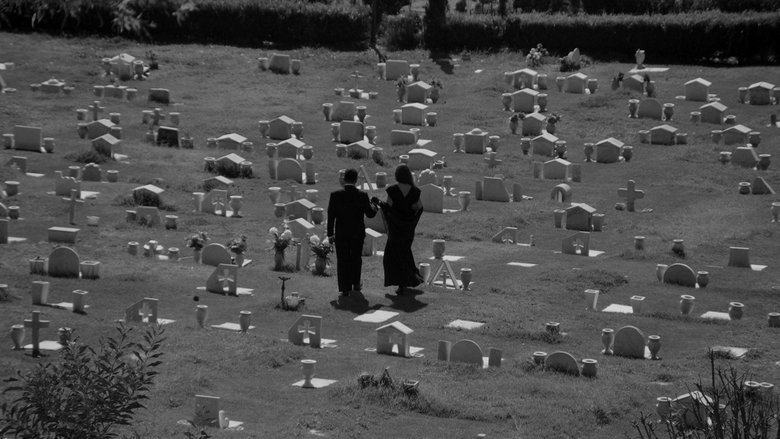 кадр из фильма El encantador señor Brambila